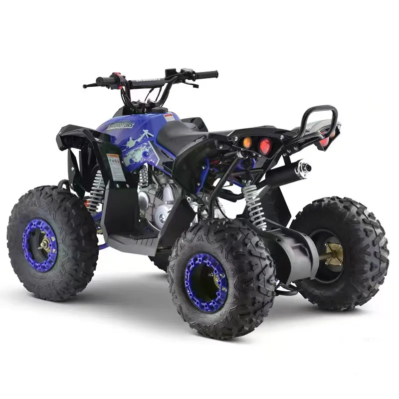 Thiết Kế Mới 4 Thì Tự Động 110cc ATV 125cc Quad ATV Cho Người Lớn