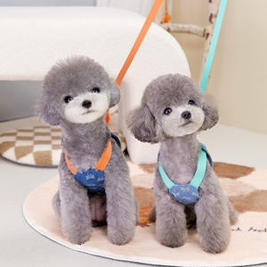 Arnés para Mascotas con Estampado de Lazo Azul Vaquero C01 con Borlas y Correa para Perros Pequeños Bichón Frisé - Product Image 4