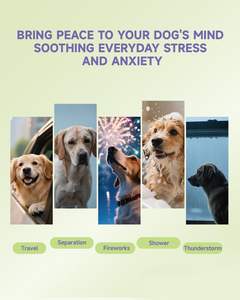 Aide à l'anxiété, au stress, à la douleur, à l'inflammation, à l'arthrite, gouttes de Caml à puissance maximale pour chiens et chats - Product Image 3