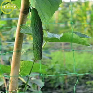 Filet de plantes grimpantes de soutien à bas prix pour l'ensemencement - Product Image 5