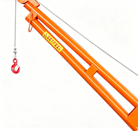 Petite grue de levage de chantier, palan électrique industriel 220V, capacité 400kg, rotation 360°, hauteur de levage 12m, moteur en cuivre pur