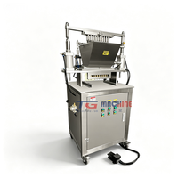 TG Machine Handmatig Geassisteerde Multivormige Gummy Depositor Snoepmachine Nieuw voor Jelly Fruit Gummy & Vitamineproductie