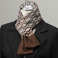 Écharpe d'hiver en polyester pour homme, authentique foulard long, accessoire de col de chemise, cravate fine style affaires