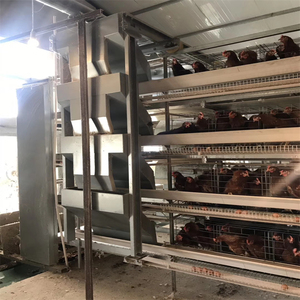 Bangyuan-Sistema de jaula para aves de corral, sistema de jaula con equipo automático - Product Image 2