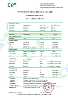 Poudre d'extrait de feuille d'olivier naturelle en vrac à prix de gros CAS 32619-42-4 70% Oléuropéine