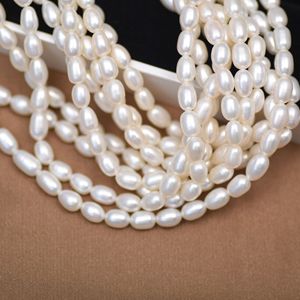 Natural Freshwater Rice Shaped <b>Pearl</b> Beads 5-6mm Long with Smooth Surface for DIY Bracelets & Necklaces <b>Loose</b> <b>Pearls</b> Accessory - Product Image 4