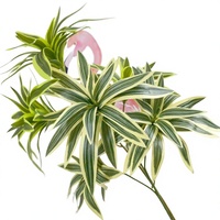 Plante artificielle Dracaena reflexa Song of India en polyuréthane imprimé en 3D à 3 branches pour la décoration de mariage, d'hôtel et de maison