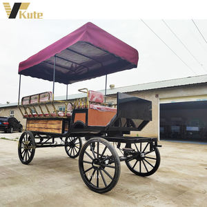 Carruaje Eléctrico de Turismo de Alta Gama para Recepción de Hoteles y Villas - Product Image 5
