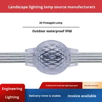 Lampe Ananas 3D en gros Éclairage décoratif de paysage extérieur étanche pour les lieux d'enregistrement de célébrités sur Internet