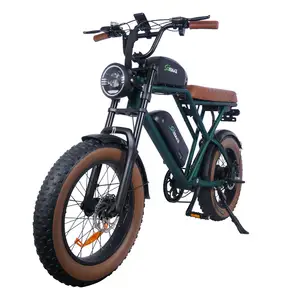 Wholesale Custom 1000W Motor 20" Fat Tire Electric Mountain Bicycle Fatbike 750W 48V 12.5Ah Dual Battery Cruiser Off Road E Bike