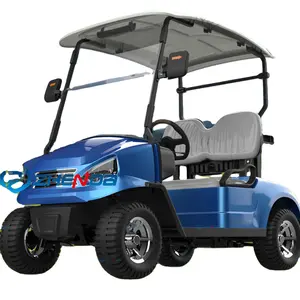 Golfkorb für Clubalauto / Club-Autogolfkorb-Teile / Hochwertige 48 V-Lithium-Ionen-Batterie