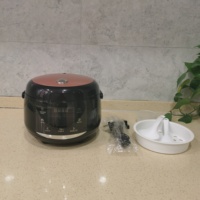 Cuisinière à riz miniature multifonctionnelle 600W 1,5L pour la maison, faible teneur en sucre, antiadhésive, cuiseur à riz électrique numérique intelligent