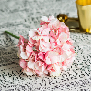 Flores de Hortensia al por Mayor, Hortensias Preservadas en Tallo, Planta de Hortensia en Venta - Product Image 4