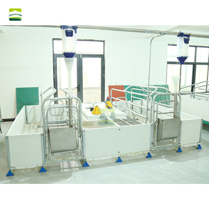 Cage de maternité double pour truies, galvanisée à chaud, de type européen, 3,6 x 2,4 m |   Lit de maternité pour truies, cage de gestation pour élevage porcin - Product Image 3