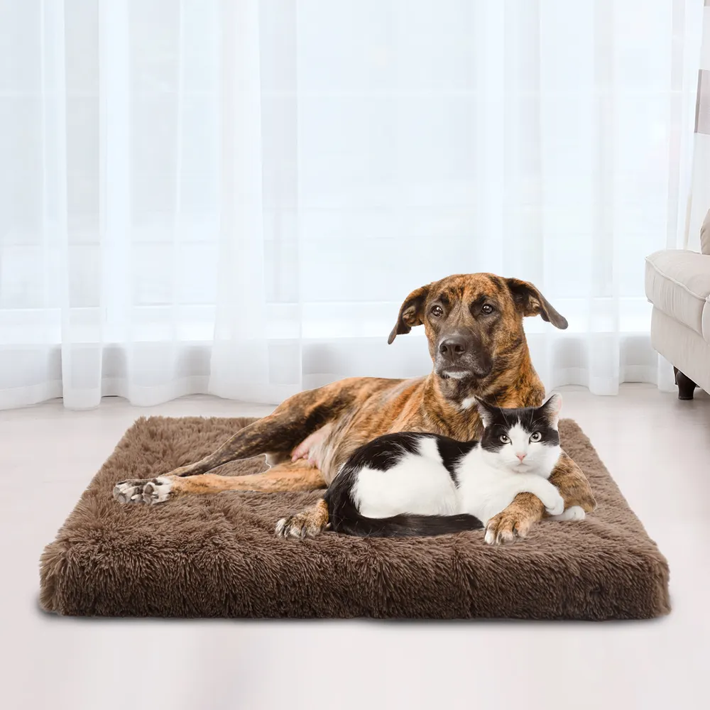 Cf Fabriek Orthopedische Memory Foam Hond Pluche Kussens Zachte Pluche Schuim Spons Verwijderbare Dierbenodigdheden Huisdier Bed Mat Luxe Hond bed Oem