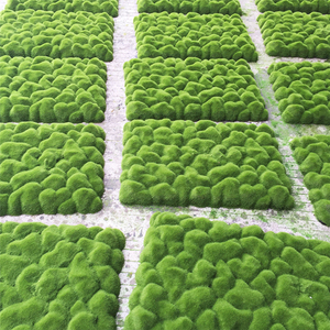 QSLHFH-1051 Hot <strong>Sale</strong> Home Decoration <strong>Moss</strong> Grass Artificial <strong>Sphagnum</strong> <strong>Moss</strong> - Product Image 3