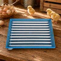 Plateau à œufs de haute qualité pour 99 œufs avec panier bleu, pièce de rechange pour l'incubation avicole