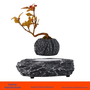 <span class=keywords><strong>Pot</strong></span> <span class=keywords><strong>de</strong></span> fleurs numérique à lévitation magnétique en plastique pour bureau, <span class=keywords><strong>mini</strong></span> bonsaï, ornements verts, pots intelligents Feng Shui - Product Image 5