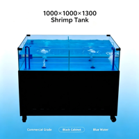 Bac de présentation mobile d'occasion pour fruits de mer de supermarché, pour crevettes et homards, avec filtration à température constante, aquarium pour poissons vivants