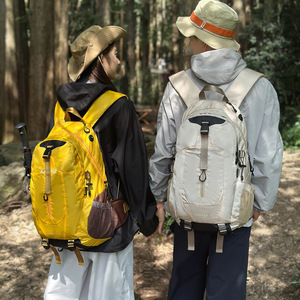 Wholesale High Quality Nylon Large Capacity Waterproof Light Weight Durable Travel <b>Backpack</b> Zipper Trendy Fashion Sports Gear - Product Image 4