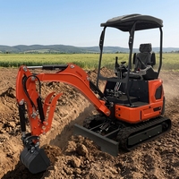 Livraison Gratuite Mini-Excavatrice 1.8m pour Usage Domestique, Agricole et de Construction, avec Marteau Briseur de Démolition