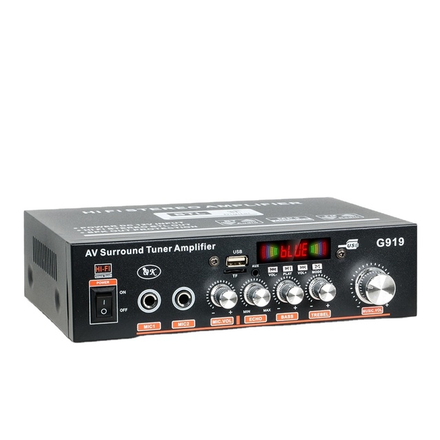 G919 Digital Mini Small Power Amplifier Speaker Power Amplifier Card USB Flash Drive Radio 12V220V Power Amplifier