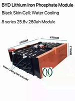 BYD 8s 260Ah 25.6v260ah Module Lithium Fer Phosphate Module de batterie Stockage d'énergie PV Rv 24v260ah Batteries au lithium