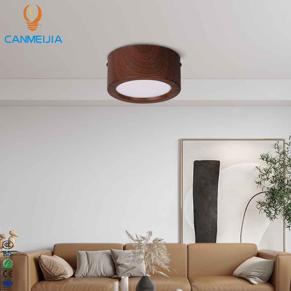 New Style 5W/10W/15W/25W Ceiling Light for Home Decor Corridor Round Down Lighting/Indoor Ceiling Lamps/Led Downlights