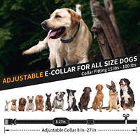 Neuestes Design IPX7 Wasserdichtes wiederauf lad bares E-Halsband Hunde trainings halsband mit Fernbedienung
