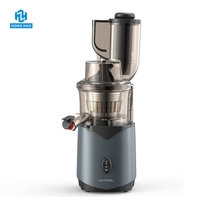 Fabrieksgroothandel Lawaai Brede Mond Kauwen Slow Juicer Citrus & Tarwegras Juicer Voor Thuiskeuken Gebruik Omgekeerde Functie