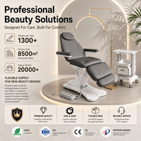 Fauteuil/Lit de Beauté Électrique Anteeth Modèle Économique pour Spa et Traitements Esthétiques Faciaux