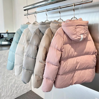 Quantité minimale de commande bas Logo personnalisé surdimensionné hiver épais chaud bouffée hommes manteau unisexe Streetwear hiver bouffant veste hommes bulle bouffante veste