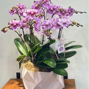 3Pcs Handmade Kraft Paper Rigid <b>Boxes</b> with Gold Foil & UV Coating Floral Wedding Guest Favors Gift <b>Box</b> <b>Set</b> - Product Image 2