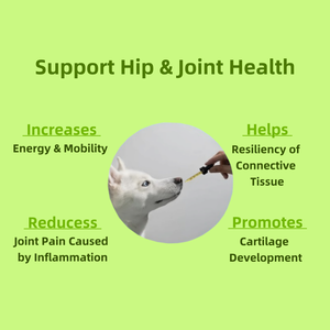 Compléments alimentaires pour la santé des articulations des animaux de compagnie, ingrédients naturels, enregistrés par la FDA, améliorent la mobilité des chiens, comprimés pour les articulations des chiens - Product Image 3