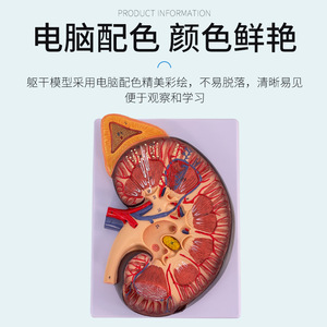 3 - Product Image 4