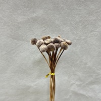 Fleurs de boutons teintées et préservées, violettes et colorées, fleurs de boutons séchées pour la décoration de bouquets de mariage