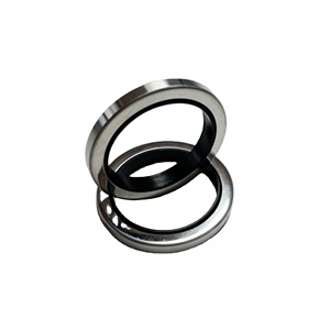 ซีลน้ำมันเพลาหมุนแบบโลหะ Manny ขนาด 80x100x10 มม. ผลิตจากยางมาตรฐานเมตริก สำหรับคอมเพรสเซอร์อุตสาหกรรม - Product Image 1