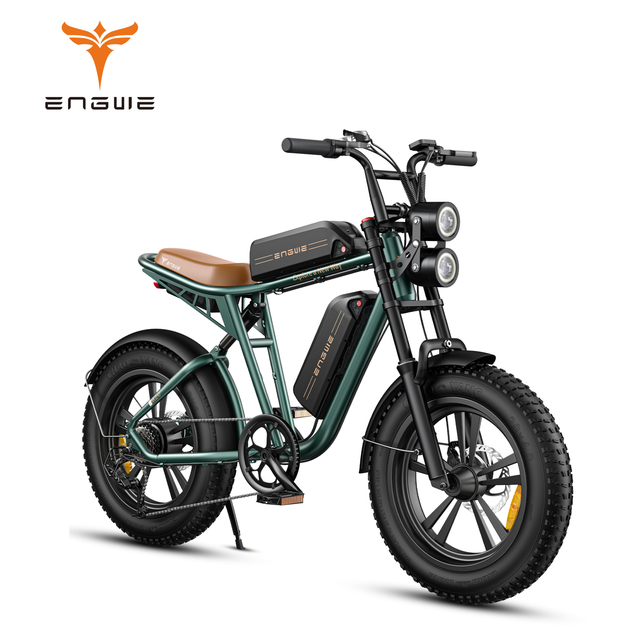 EU Stock ENGWE M20 Dual Suspension Electric Bicycle 48V 26Ah Two Batteries Long Range Ebike 20Inch Hybrid Electric Mountain Bike