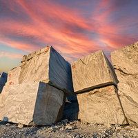 Bloc de granit blanc moderne Shandong Viscon, coupé à la machine, solution écologique complète, support technique en ligne, Villa Park