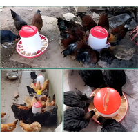 Plateau d'alimentation et d'abreuvement en plastique pour poulets et volailles