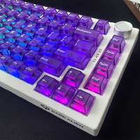 Ensemble de touches de clavier en PC translucide givré, 118 touches, double injection, profil original, style violet pour clavier mécanique avec rétroéclairage RVB
