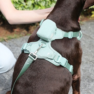 Harnais de luxe en velours côtelé anti-traction pour chien, collier et laisse personnalisés de créateur, sac à dos mignon pour promenades, laisse et harnais pour chien - Product Image 3
