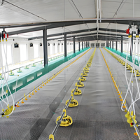 Poulailler en acier léger personnalisable - Installation biosécurisée, ignifuge et extensible