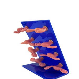 Matériel pédagogique de simulation gynécologique : Modèle de lésion utérine médicale ; 8 modèles anatomiques de malformations utérines. - Product Image 3