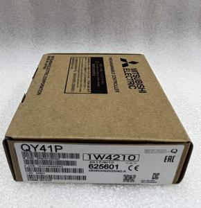 โมดูลเอาต์พุตดิจิตอล MELSEC-Q QY41P - Product Image 1