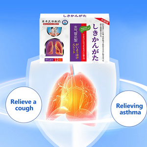 Cerotto di fisioterapia cinese sano cerotto efficace per la bronchite tosse lenitiva ed espettorazione - Product Image 2
