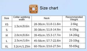 Collar para Perro Duradero, Ecológico, de Poliéster Sólido Reflectante, Cómodo y Suave con Forro de Neopreno - Product Image 6