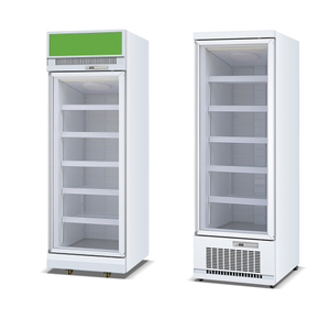 <span class=keywords><strong>Congelatore</strong></span> Verticale Commerciale da 400L <span class=keywords><strong>con</strong></span> Porta Singola in Vetro, Raffreddamento ad Aria, No-Frost, per Supermercati, <span class=keywords><strong>con</strong></span> Illuminazione LED - Product Image 5