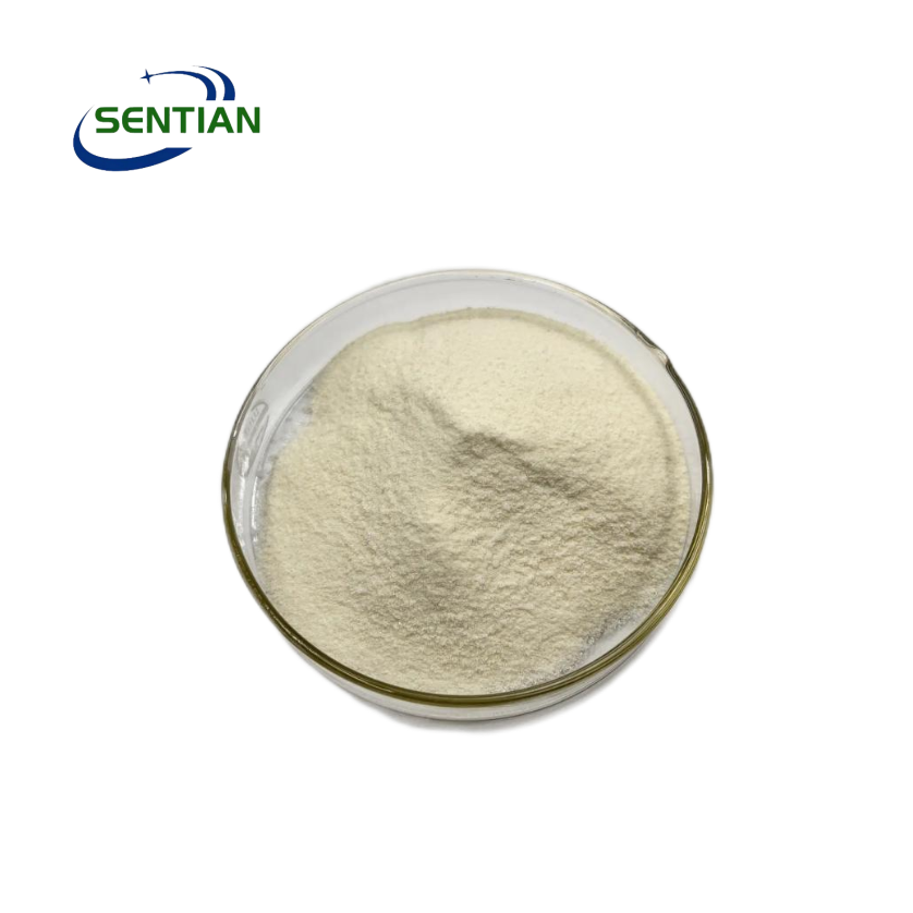 Food Grade High Quality Flavor Enzyme Aminopeptidase Powder 99% Pure for Protein Flavours Improving