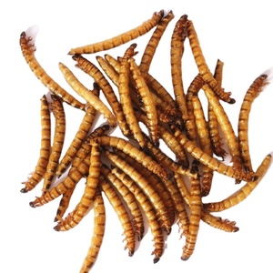 יבש Mealworm ציפור מזון עוף מזון בעלי החיים מזון - Product Image 3